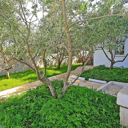 Holiday Andrea Casa de Férias *